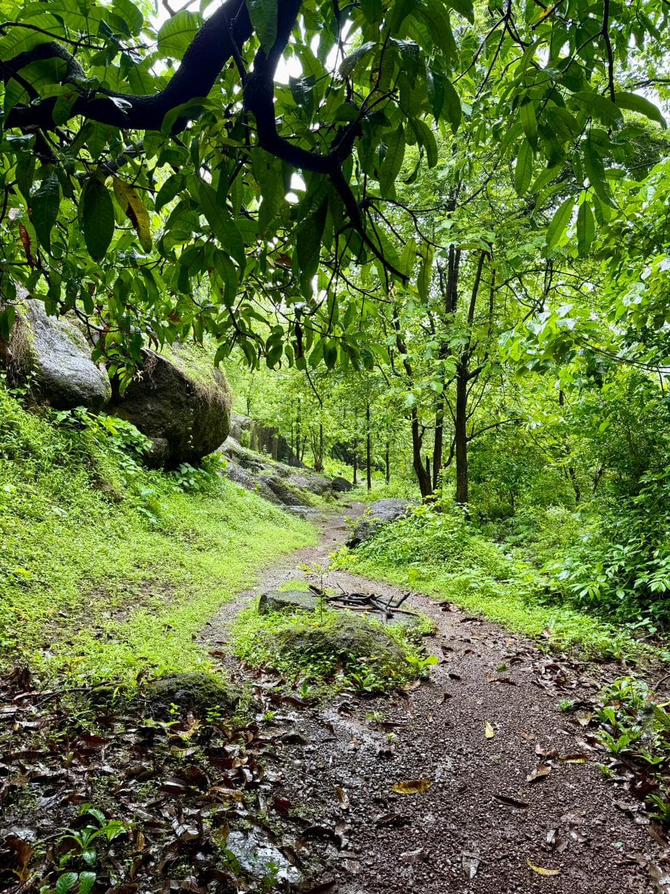 Ritesh Chaurasiya - Satisfied Customer from India | 5 Star Review for Trupti Tours